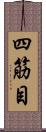 四筋目 Scroll