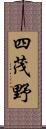 四茂野 Scroll