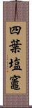 四葉塩竈 Scroll