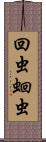 回虫;蛔虫 Scroll