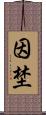 因埜 Scroll