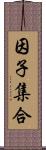 因子集合 Scroll