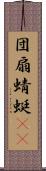 団扇蜻蜓(oK) Scroll