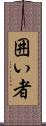 囲い者 Scroll