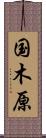 国木原 Scroll