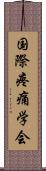 国際疼痛学会 Scroll