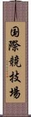 国際競技場 Scroll