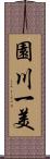 園川一美 Scroll