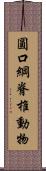 圓口綱脊椎動物 Scroll
