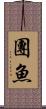 團魚 Scroll