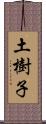 土樹子 Scroll