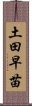 土田早苗 Scroll