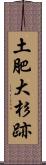 土肥大杉跡 Scroll