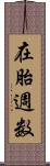 在胎週数 Scroll