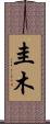 圭木 Scroll