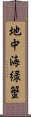 地中海緑蟹 Scroll