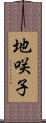 地咲子 Scroll