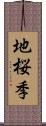 地桜季 Scroll
