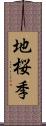 地桜季 Scroll