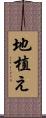 地植え Scroll