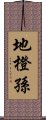 地橙孫 Scroll