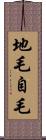 地毛 Scroll