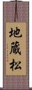 地蔵松 Scroll