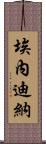 Enedina Scroll