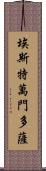 Estevan Mendoza Scroll