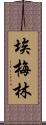 Emelyn Scroll