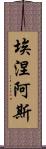 埃涅阿斯 Scroll