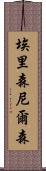 Allison Nelson Scroll