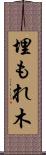 埋もれ木 Scroll
