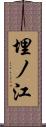 埋ノ江 Scroll