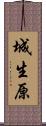 城生原 Scroll