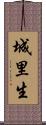 城里生 Scroll