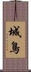 城鳥 Scroll