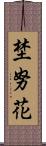 埜努花 Scroll