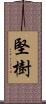 堅樹 Scroll