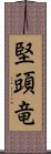 堅頭竜 Scroll