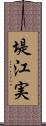堤江実 Scroll