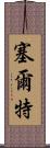 塞爾特 Scroll