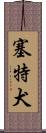 塞特犬 Scroll