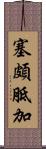 塞頗胝加 Scroll