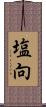 塩向 Scroll