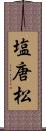 塩唐松 Scroll