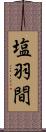 塩羽間 Scroll