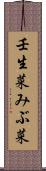 壬生菜 Scroll