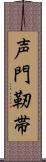 声門靭帯 Scroll