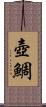 壺鯛 Scroll